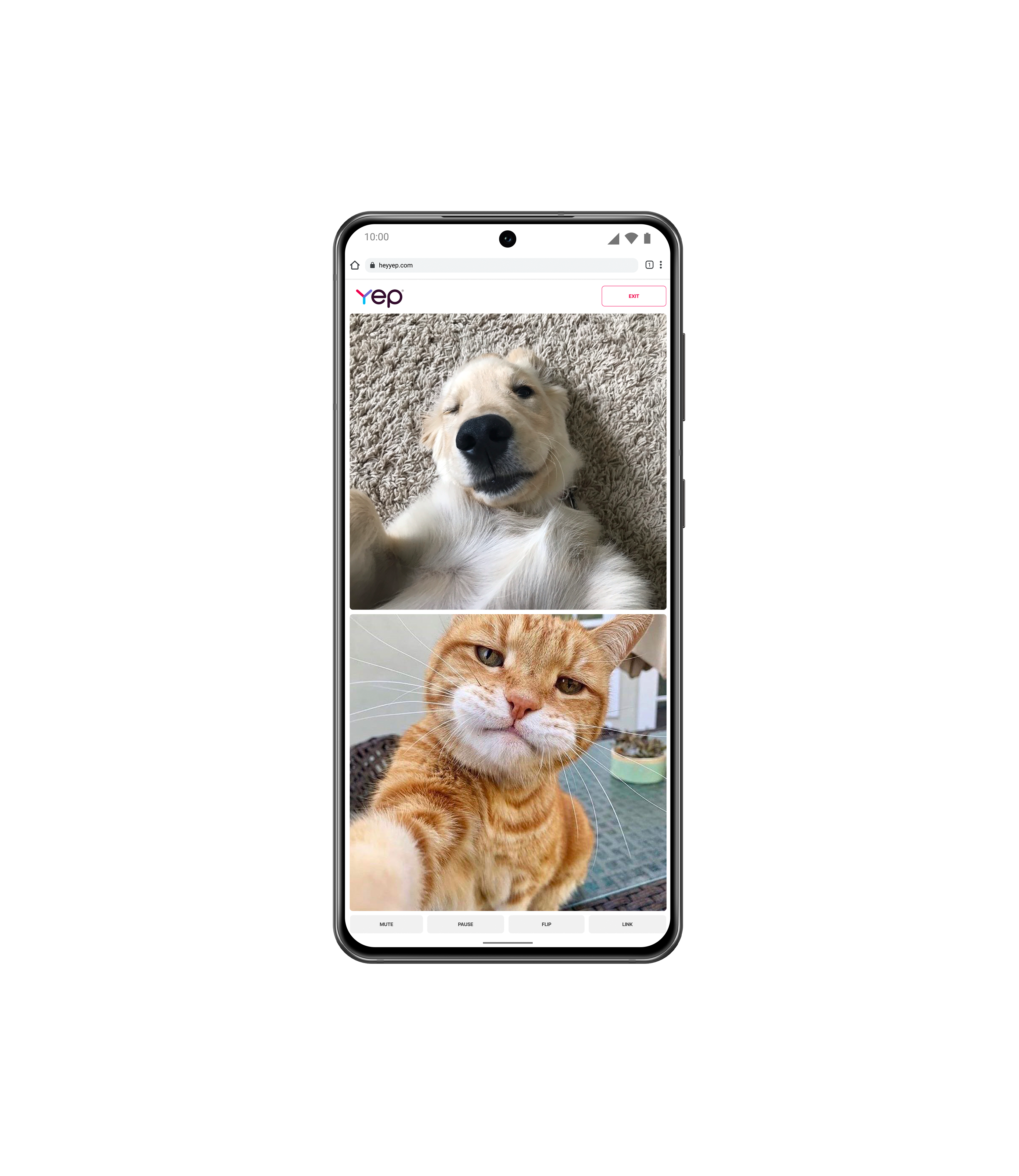 Sì chat video - Nessun download, nessun accesso, chat video spontanea media 4