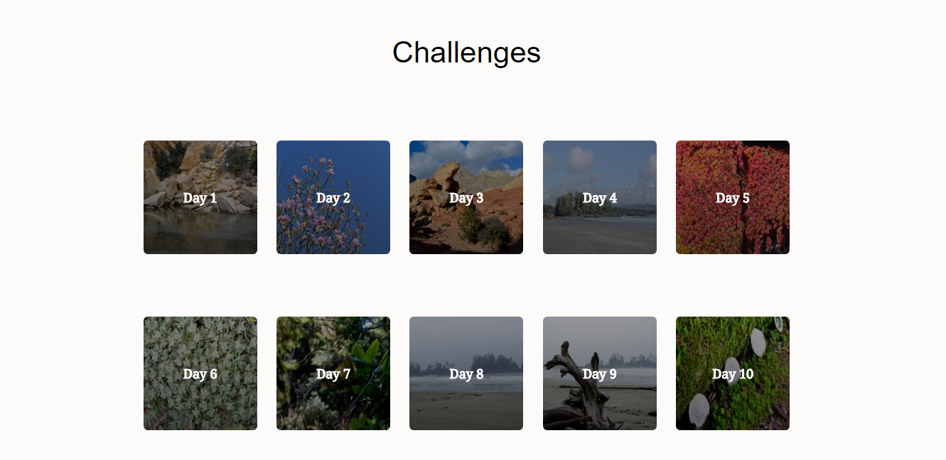 Mental Health Boot Camp gallery image