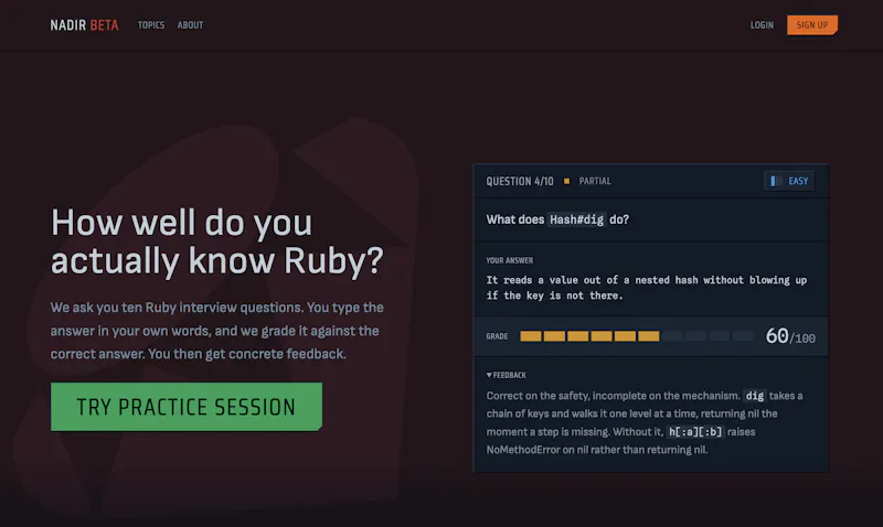 nadir.dev screenshot 1
