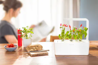 Click & Grow Smart Gardens gallery image