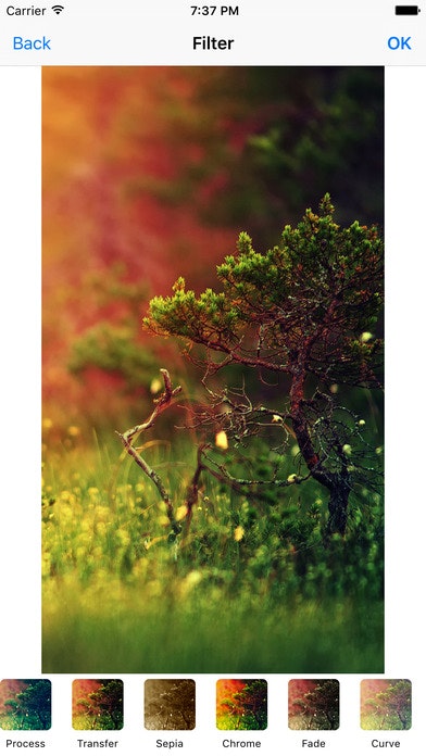 Picture Perfect gallery image