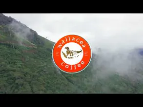 KOPI LUWAK COFFEE (WHOLE COFFEE BEANS) gallery image