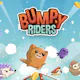 Bumpy Riders