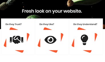 RealEye Feedback gallery image
