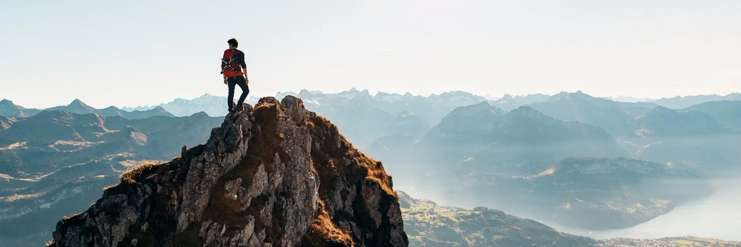 Hoang Nguyen Vi Cam cover