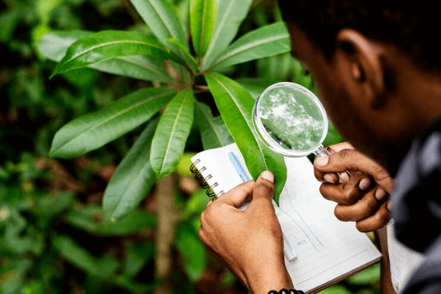 Enviro Education Tools gallery image