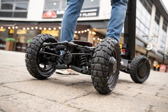 Dragonfly gallery image