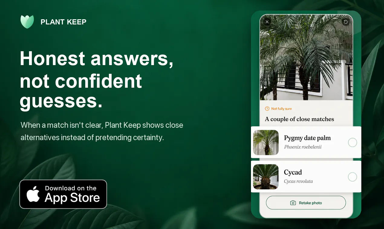 Plant Keep gallery image