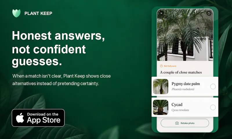 Plant Keep screenshot 4