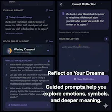 Moon Journal: Dream Tracker gallery image
