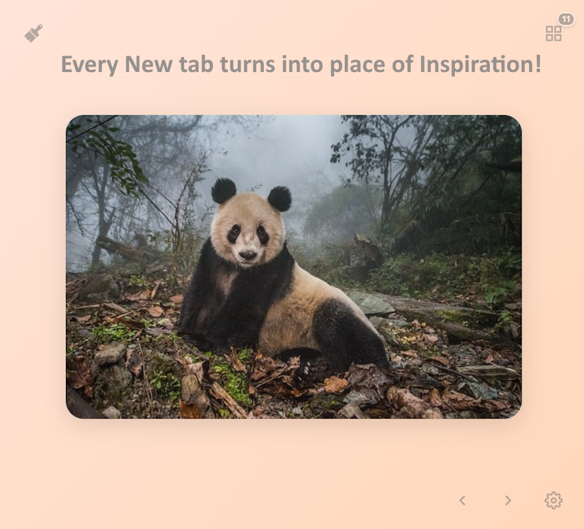 New Tab Gram gallery image