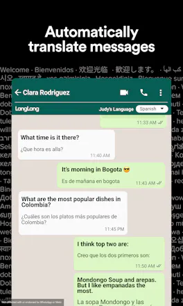 LangLang - Chat Translator for WhatsApp gallery image