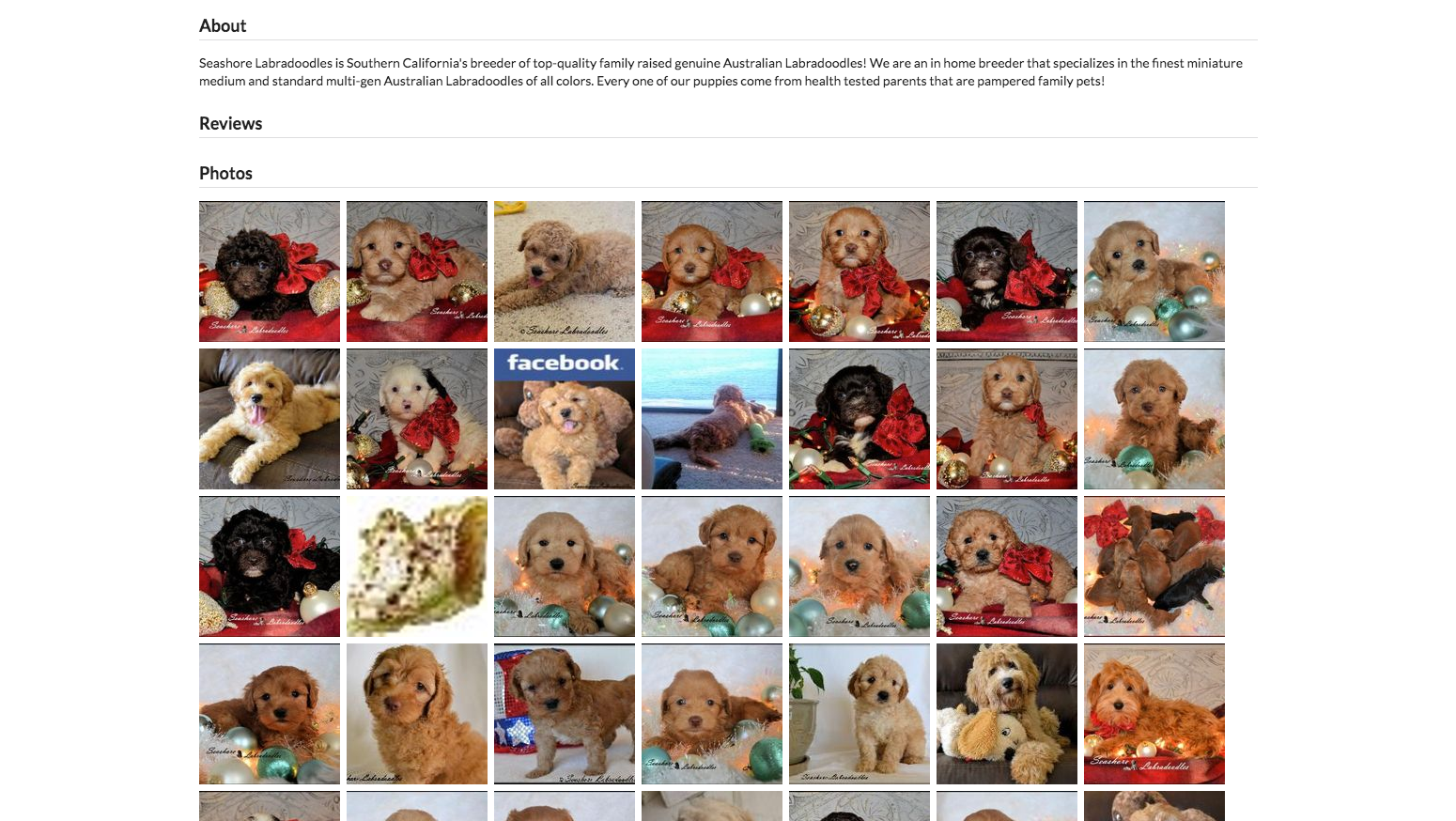 Petigree gallery image