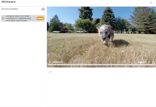 Deadale gallery image