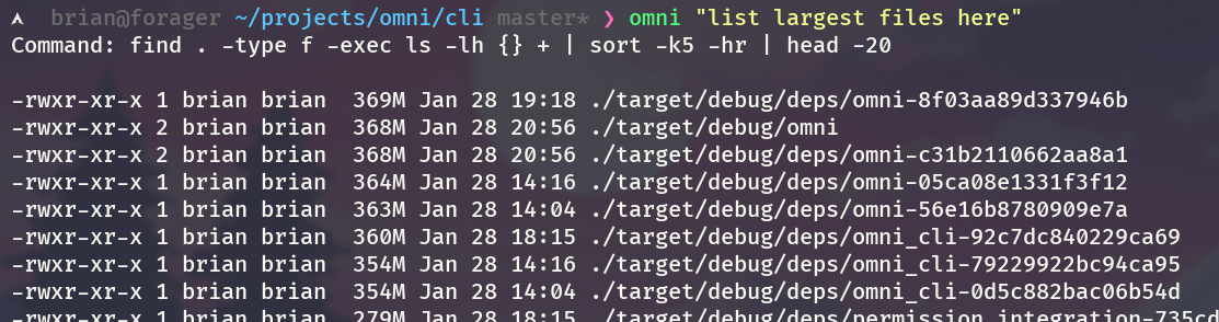 Omni CLI gallery image