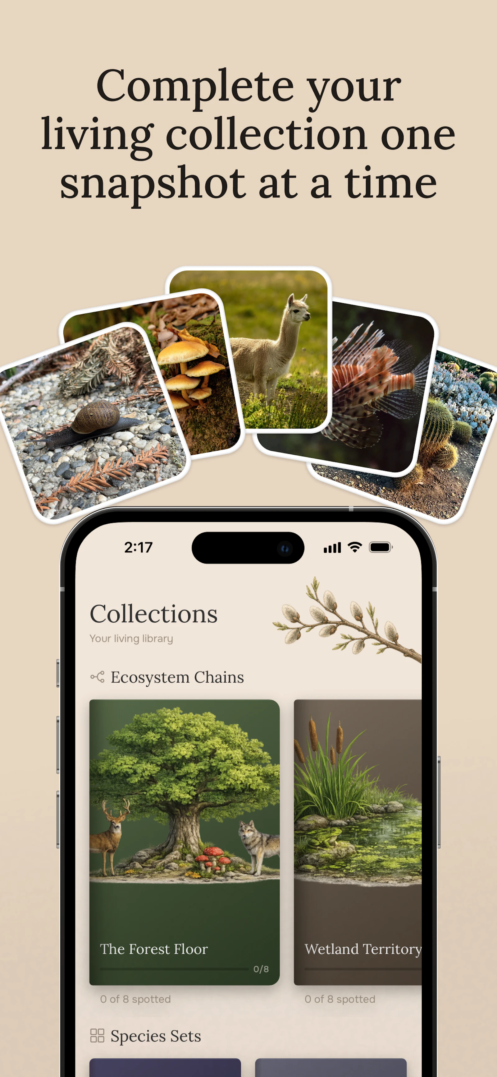 Fauna App Launch screenshot 4