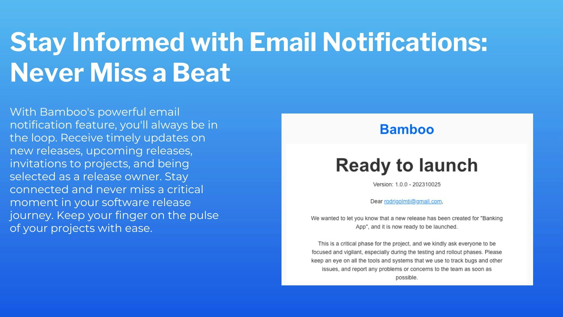 Bamboo media 6
