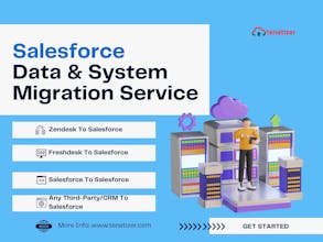 Tenetizer Salesforce Integration Product gallery image