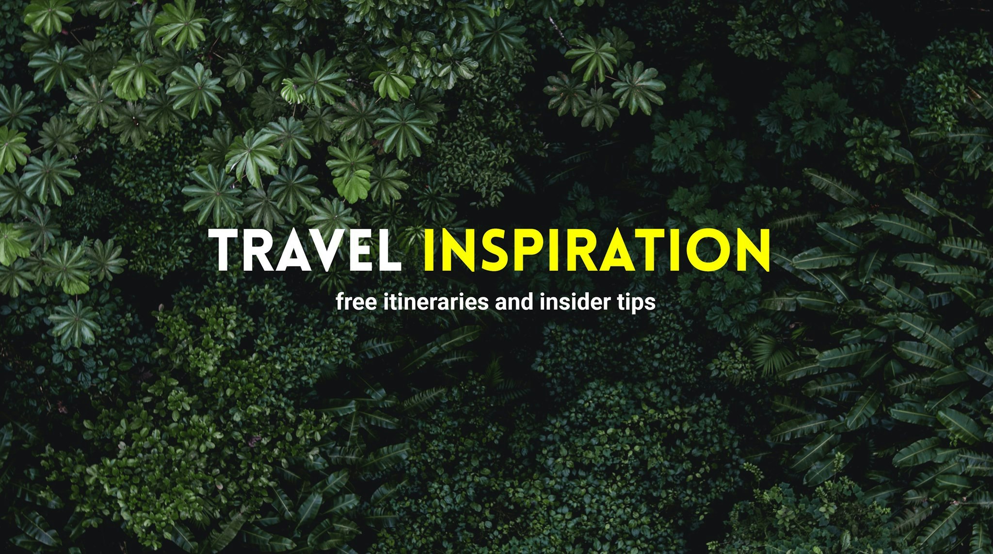 Tripspi gallery image