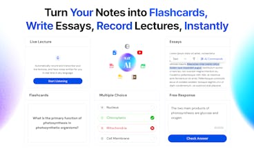 Slay School gallery image