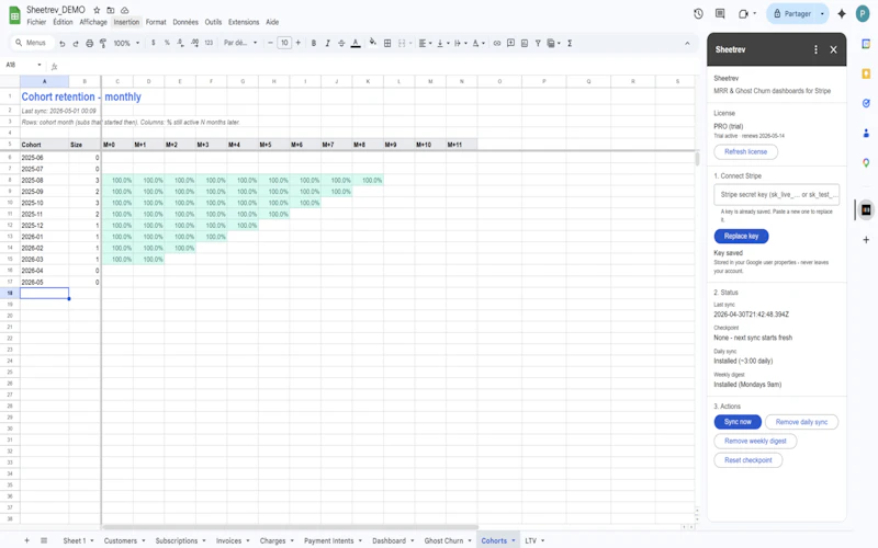 Sheetrev / Your MRR, in your sheet. screenshot 6