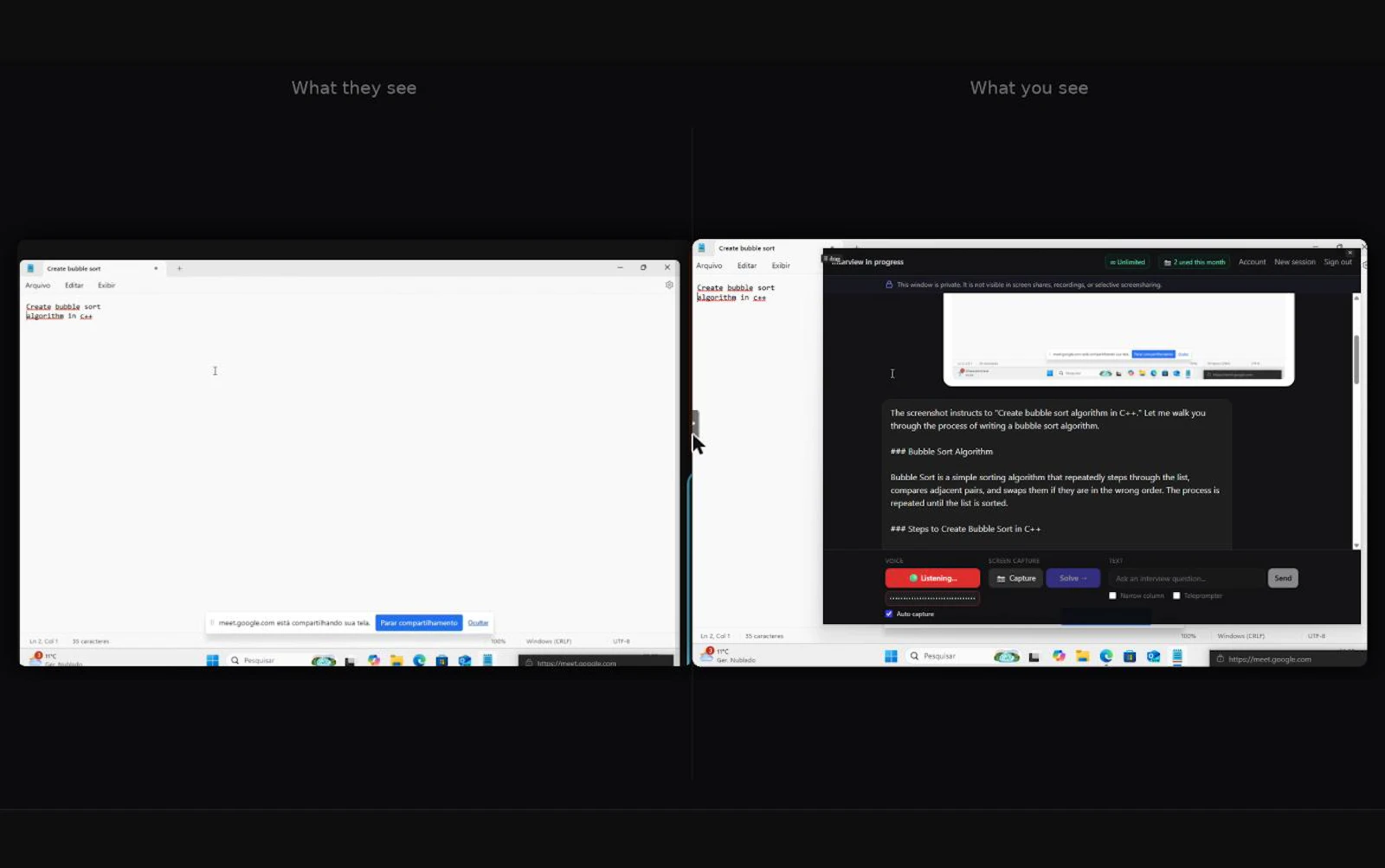 Privacy Window screenshot 1
