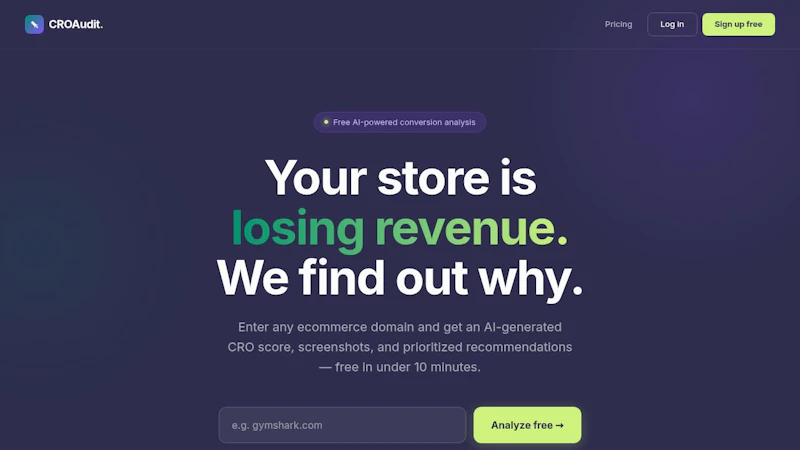 CRO Audit Agent screenshot 1