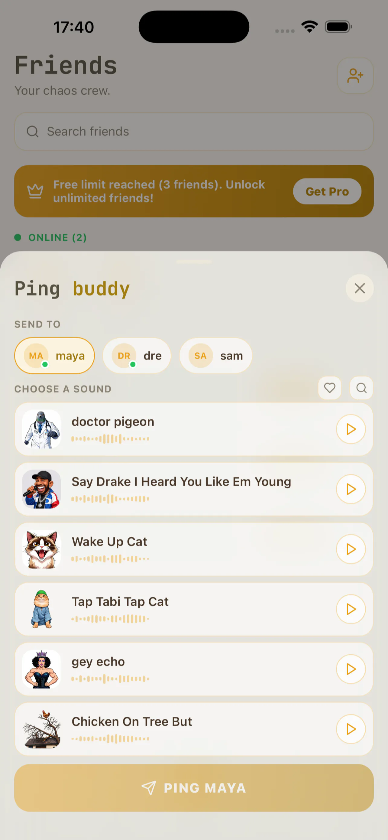 Doctor Pigeon screenshot 3