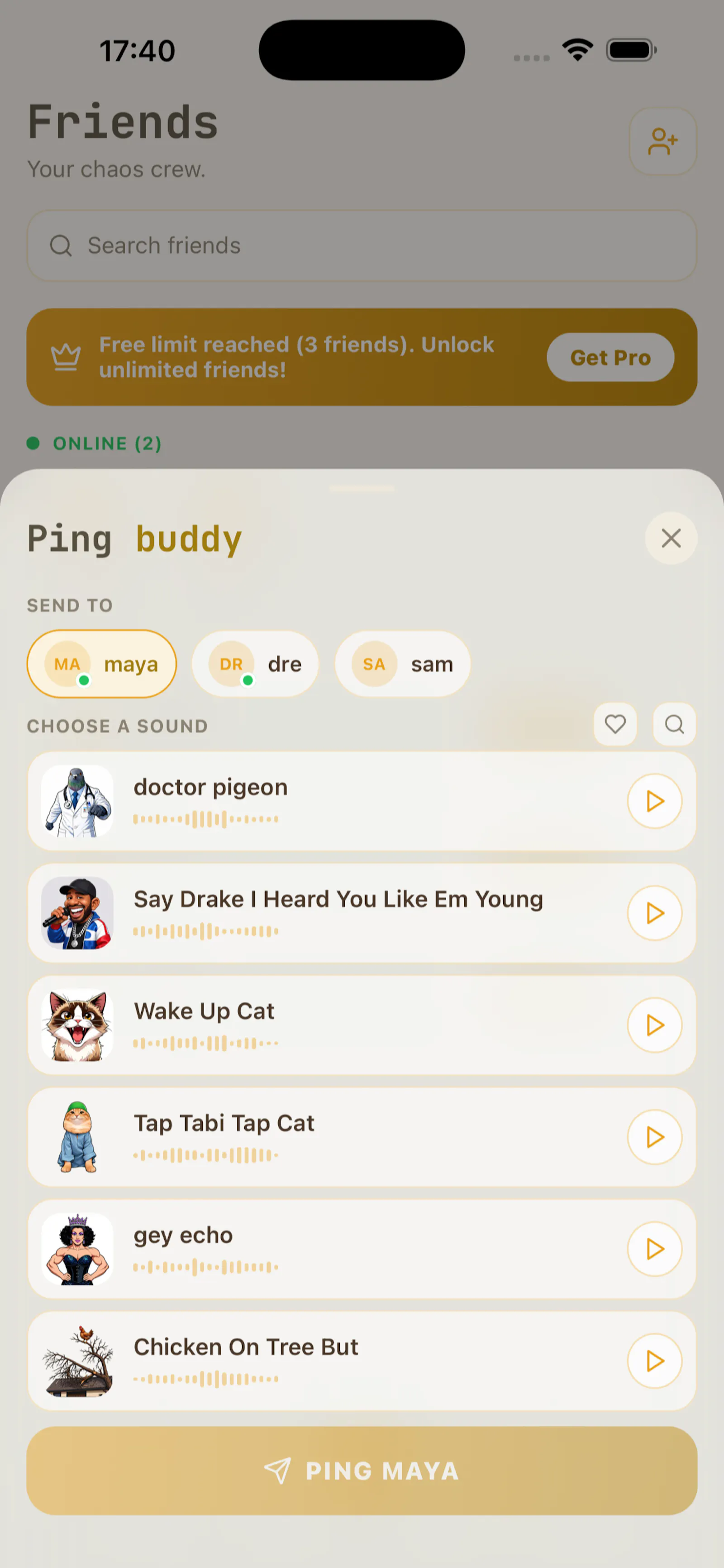 Doctor Pigeon screenshot 3