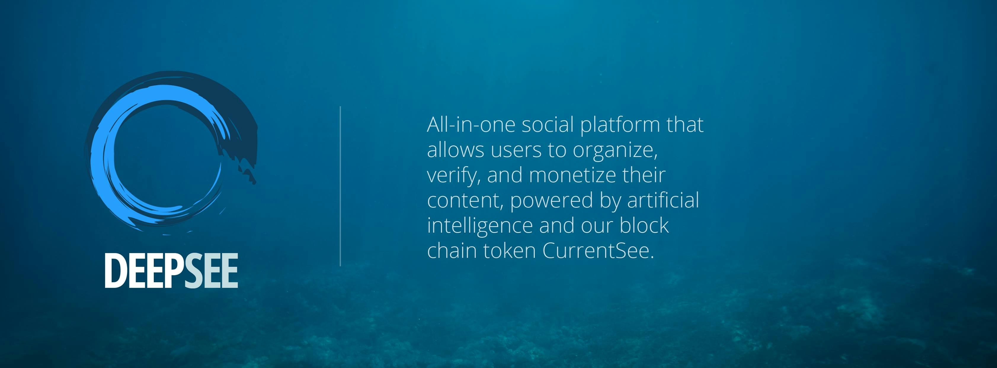 DeepSee gallery image