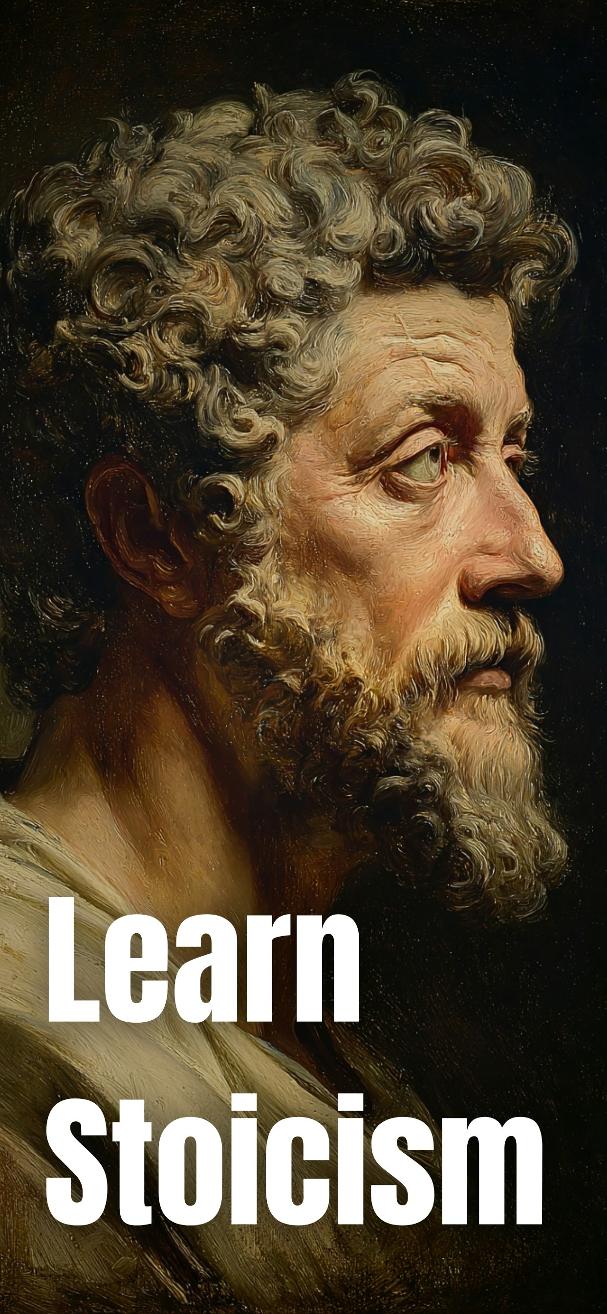 Becoming Stoic - Daily Wisdom - Main product screenshot demonstrating key features and user interface