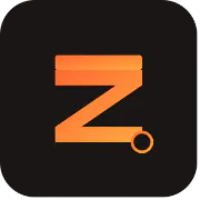 ZYNTLOX — Brutally Honest Website Roasts