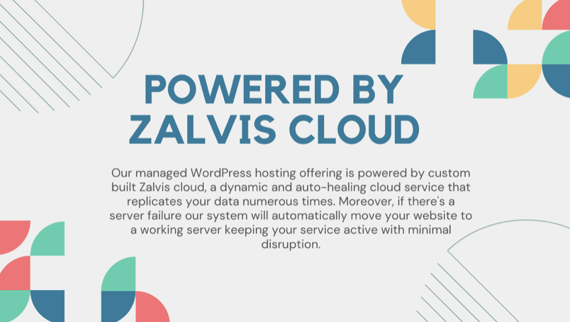 Zalvis media 3
