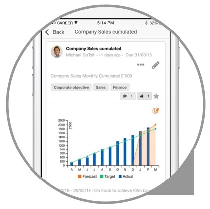 Agily team goal management app