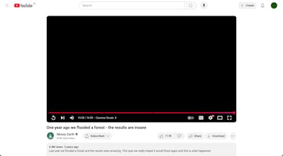 WebGyver gallery image