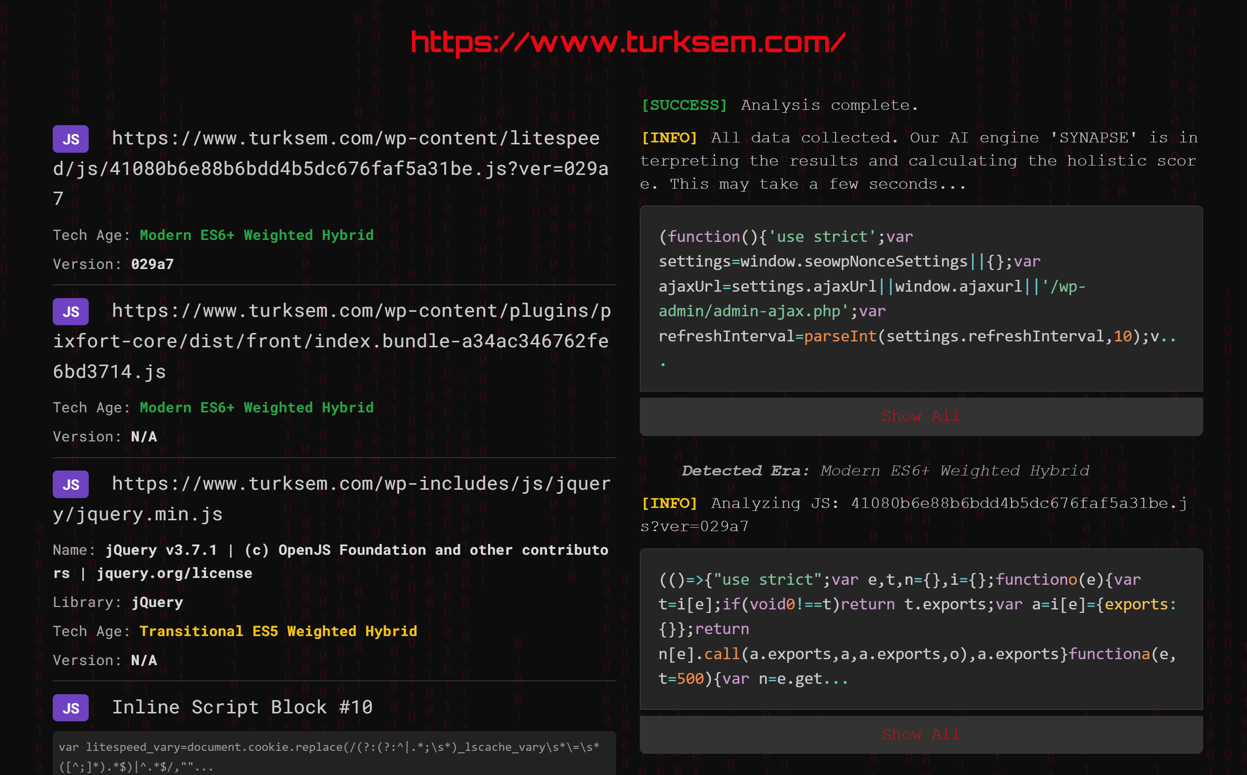 CSS, JS, HTML Technology Detection gallery image