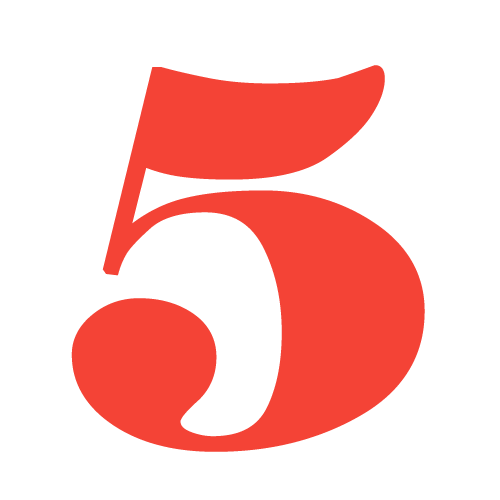 5 Why Problem Solver logo