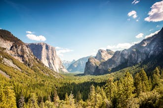 VOCA.CC gallery image