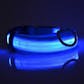 LED Pet Safety Collar