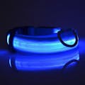LED Pet Safety Collar