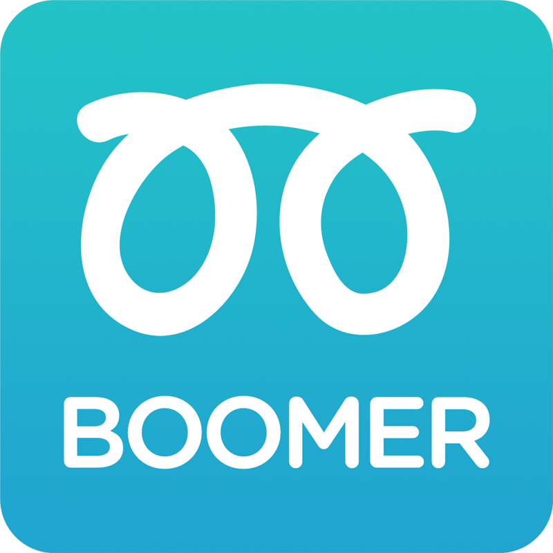 Build a Website or Store - Boomer