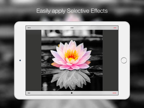 Bitpoem 2.0 gallery image