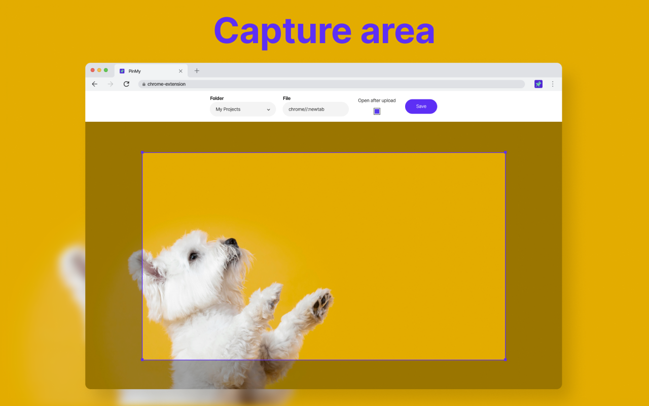 Pinmy media 10