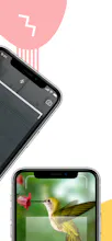 AI VISION: Image Identifier ChatBot gallery image
