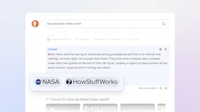 Duck.ai gallery image