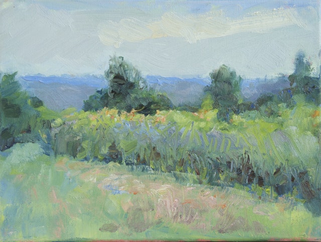 GalleryTab by Vango gallery image