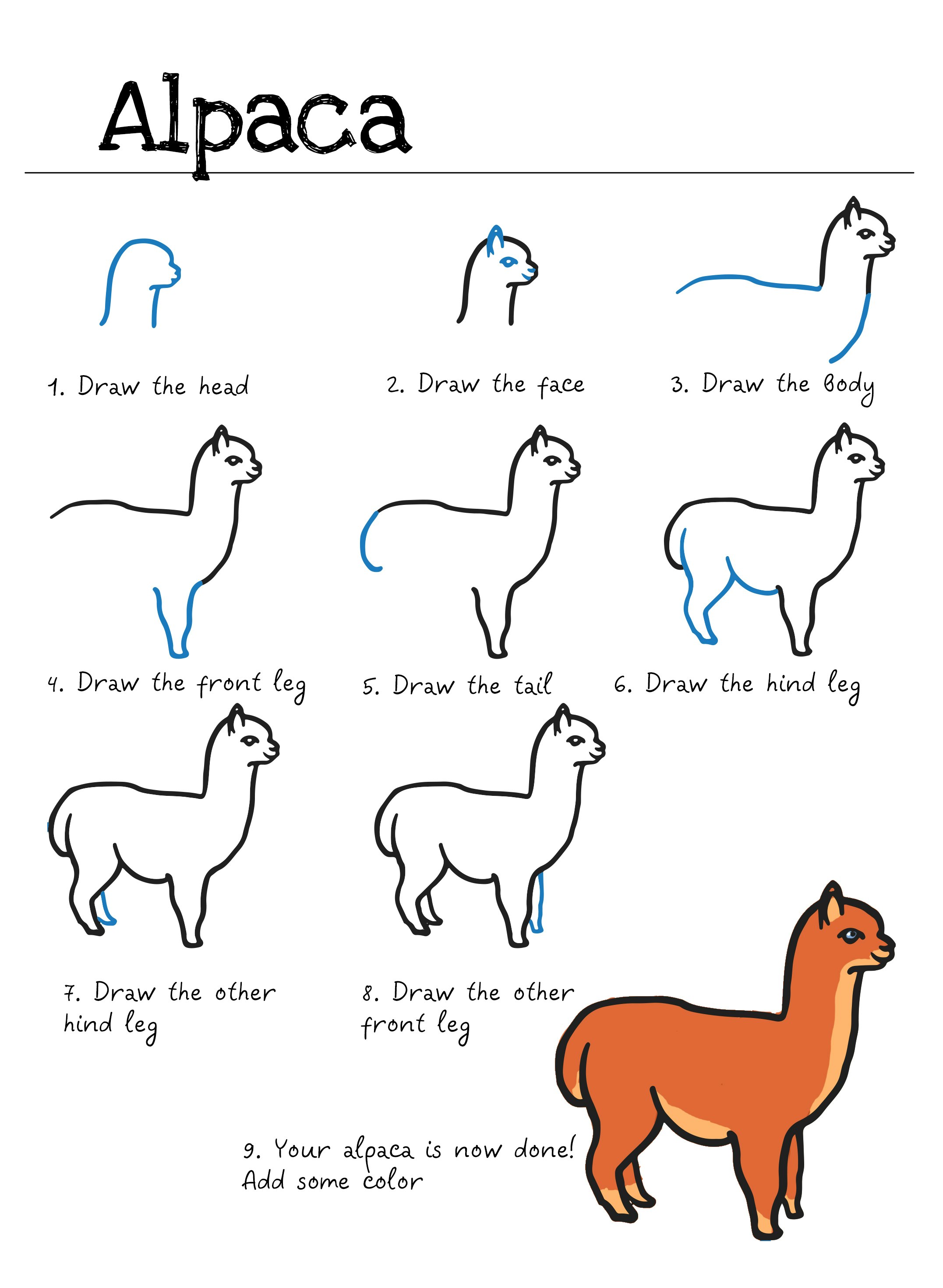How to draw animals gallery image