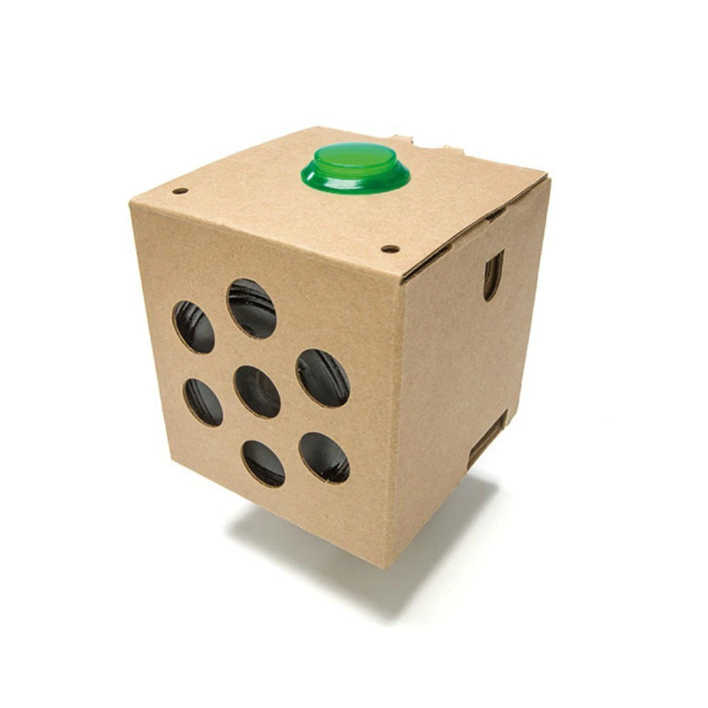 Google AIY Voice Kit