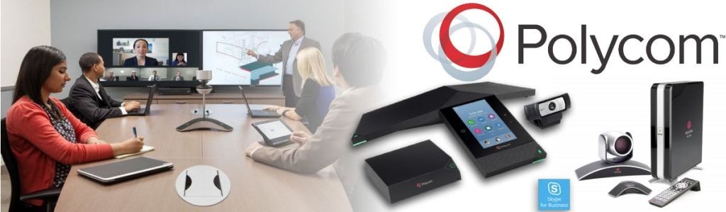 Revise o Polycom RealPresence Group media 1