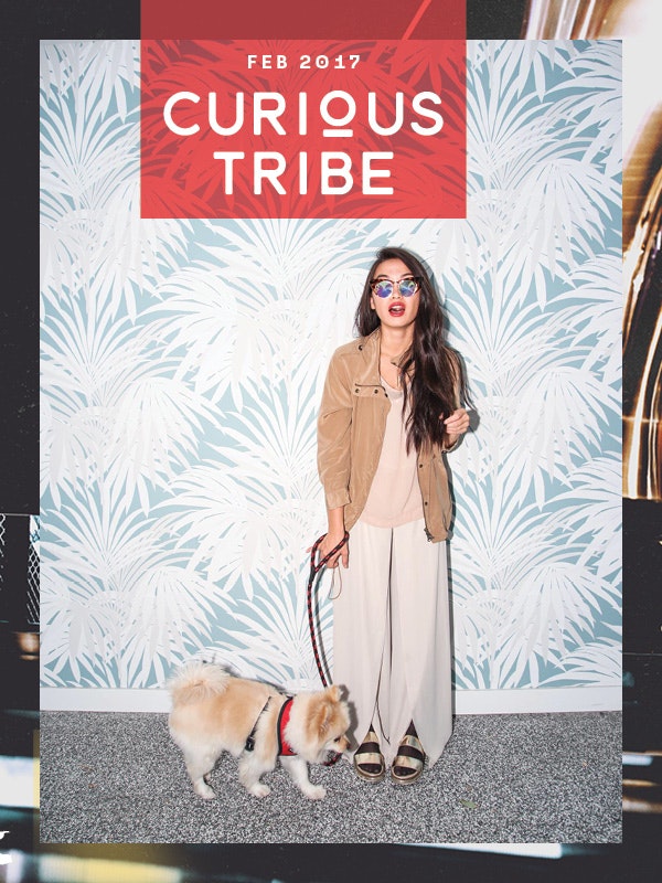 Curious Tribe gallery image